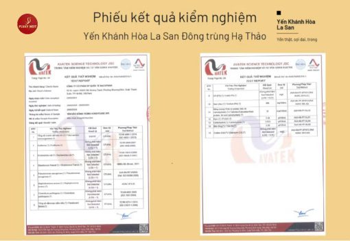 Giấy kiểm định yến sào